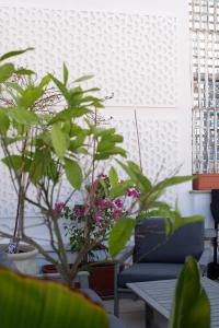 ein Wohnzimmer mit Pflanzen auf einem Tisch und einem Sofa in der Unterkunft The Terrace, dúplex con terraza privada in Sevilla