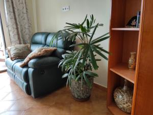 a black leather couch sitting in a living room with a plant at Apartments in a "VILLA VISTA JAVEA" in Jávea