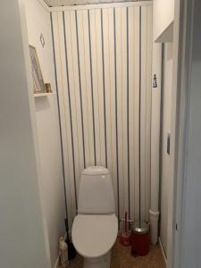 ein Bad mit einem weißen WC in einem Zimmer in der Unterkunft Cozy and Private 3-Bed House with bath Roslagen in Herräng