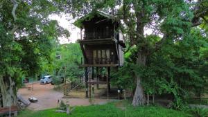 Zahrada ubytování Wilpattu Tree House