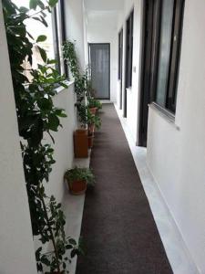 Fotografie z fotogalerie ubytování Guest House AZA v destinaci Pogradec