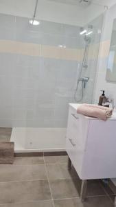 baño blanco con ducha y lavamanos en L'océan Parc, Libourne Hypercentre, Clim, Netflix, en Libourne