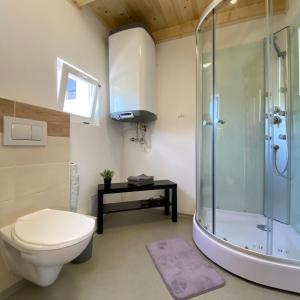 a bathroom with a shower and a toilet and a sink at Chata Pod kaplí in Sloup