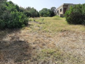 Gallery image of Caslune in El Bidha