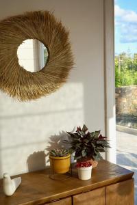 una mesa con un espejo y algunas plantas en ella en Siempre Feliz La Casita Escanfraga en Villaverde