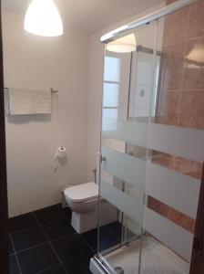 een badkamer met een toilet en een glazen douche bij Alojamiento Oviedo 2 con parking in Oviedo