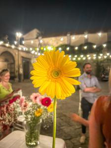 a yellow flower in a vase on a table at Palazzo Capece in Caivano