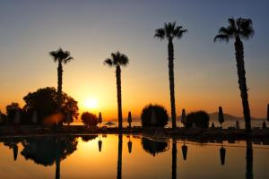 un grupo de palmeras con la puesta de sol en el fondo en Irina Beach Hotel en Tigaki