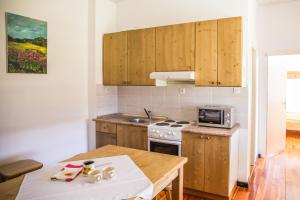 Кухня або міні-кухня у Hostel Mladinski center Šmartno ob Paki
