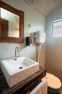 a bathroom with a sink and a toilet and a mirror at Casa no Campo Caminho do Salto in Farroupilha