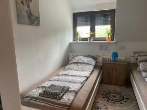 Postel nebo postele na pokoji v ubytování Ferienwohnung Andreea
