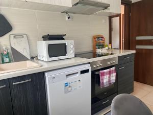 Kuchyň nebo kuchyňský kout v ubytování Ferienwohnung Andreea
