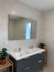 ein Bad mit einem Waschbecken und einem Spiegel in der Unterkunft Charmante Villa in Châtellerault