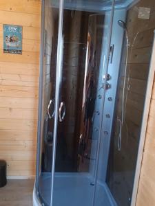 La salle de bains est pourvue d'une douche et d'une porte en verre. dans l'établissement Casa da Ria, à Gafanha da Boa Hora