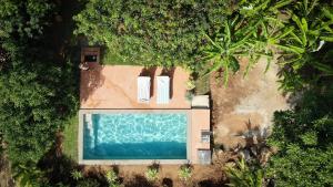 an overhead view of a swimming pool surrounded by trees at Shan Mango Homestay in Sigiriya