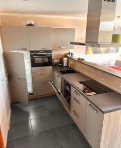 a kitchen with stainless steel appliances and gray cabinets at Lipno Holiday Penthouse in Lipno nad Vltavou
