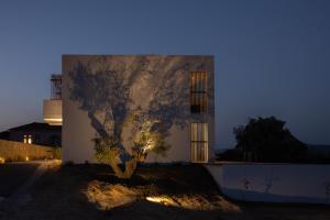 a building with a tree projected on the side of it at Ostrea Villas in Paleros