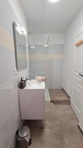 La salle de bains blanche est pourvue d'un lavabo et d'un miroir. dans l'établissement Le green parc, Libourne Hypercentre, Netflix, Clim, à Libourne