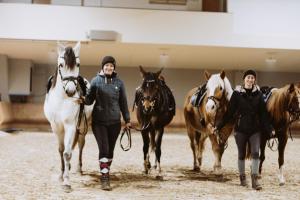 Altri animali domestici presso l'hotel o nei dintorni