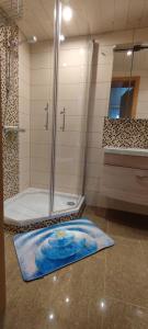Ronsberg的住宿－Secret Paradise，带淋浴的浴室和蓝色地毯。