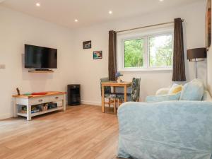 Televiisor ja/või meelelahutuskeskus majutusasutuses Pheasant View