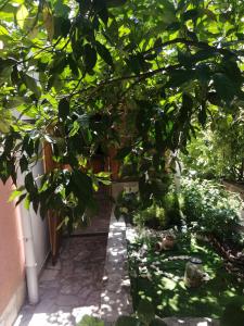 Fotografie z fotogalerie ubytování Ninić Family Apartments v destinaci Tivat