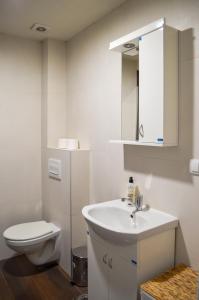 a bathroom with a white sink and a toilet at Latica in Vrnjačka Banja +28 photos
