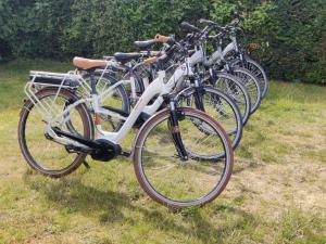 Jízda na kole v ubytování Erholungspark Wehlingsheide nebo okolí