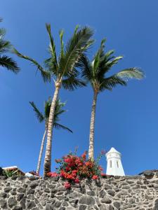 Fotografie z fotogalerie ubytování Appart Cosy vue piscine, wifi, à 500 m plage v destinaci Costa Teguise