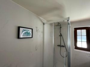 a bathroom with a shower and a picture on the wall at POSADA El ABUELO DE LA CACHAVA in Gajano