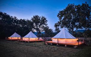 a row of tents in a field at night at Pensiunea Cocoș 