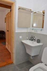 a bathroom with a sink and a toilet at Вершище in Urych