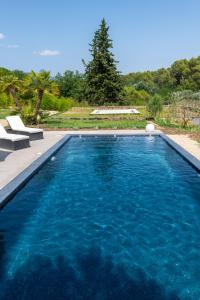 a swimming pool with blue water in a yard at Villa Juliane in Cadenet