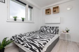 ein Bett mit Zebramuster in einem weißen Zimmer mit Fenster in der Unterkunft Czarnowiejska Mini Studio in Krakau