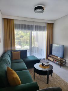 a living room with a green couch and a television at Evion Residence A11 in Nikiti
