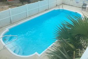 a large blue swimming pool with a palm tree at Island Charm in St. George Island