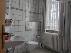 a bathroom with a toilet and a sink at Zum Amtsrichter in Hillesheim