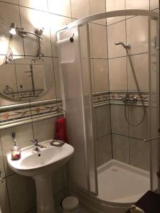 a bathroom with a shower and a sink and a shower at Uroczy domek letniskowy. in Falsztyn