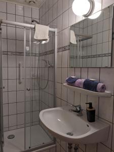 a bathroom with a sink and a shower and a mirror at Zum Amtsrichter in Hillesheim
