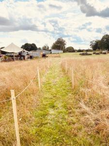 Ein Zaun mitten auf einem Feld in der Unterkunft Fen meadows glamping - Luxury cabins and Bell tents in Cambridge