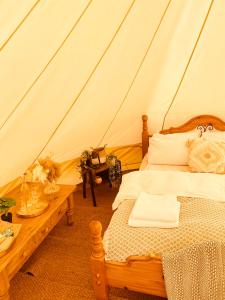 um quarto com uma cama numa tenda em Fen meadows glamping - Luxury cabins and Bell tents em Cambridge
