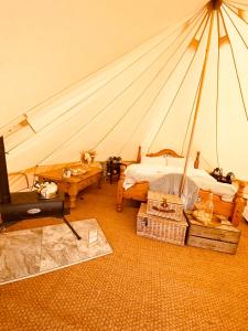 Habitación con tienda de campaña, cama y TV. en Fen meadows glamping - Luxury cabins and Bell tents en Cambridge
