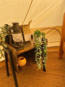 une table avec une lampe et une plante en pot sur celle-ci, dans l'établissement Fen meadows glamping - Luxury cabins and Bell tents, à Cambridge