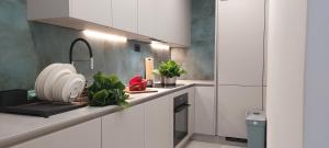 Kuchyň nebo kuchyňský kout v ubytování Mint Apartment