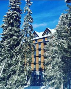 a hotel with snow covered trees in front of it at Woodside Apartment in Kopaonik