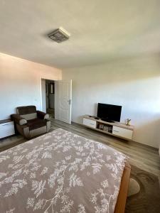TV a/nebo společenská místnost v ubytování Apartman Ejna