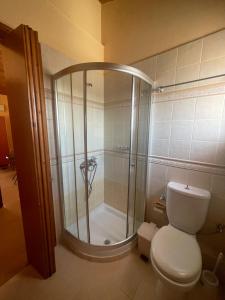 a bathroom with a shower and a white toilet at Katerina's Apartment in Vonitsa