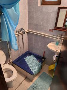 W łazience znajduje się prysznic, toaleta i umywalka. w obiekcie Kuća na obali reke Nišave w mieście Donja Vrežina