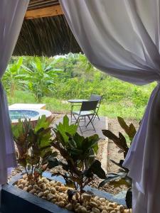 Ein Garten an der Unterkunft Mangoo Glamping