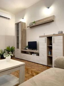 een woonkamer met een tv en een bank bij Central City Apartment in Skopje
